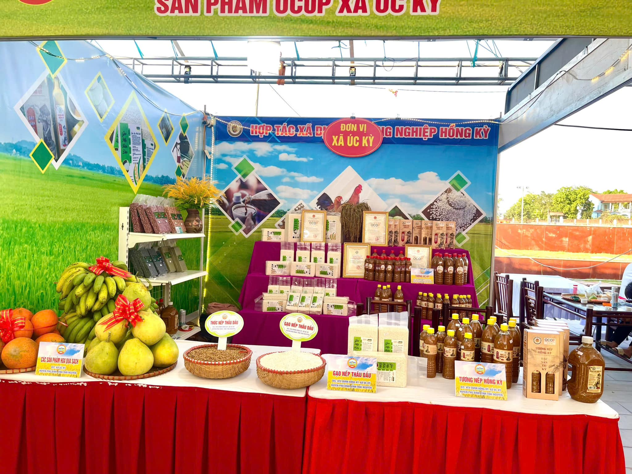 HTX Dịch Vụ Nông Nghiệp Hồng Kỳ – Hơn Cả Một Cái Tên, Là Cộng Đồng Và Khát Vọng Phát Triển!